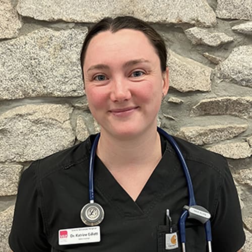 Dr. Katrine Gillett, Nelson Veterinarian