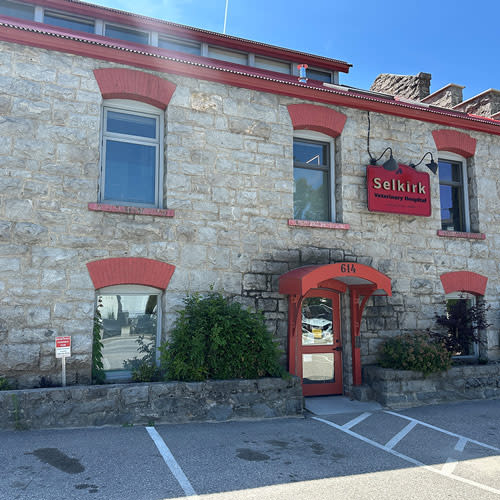 Selkirk Veterinary Hospital in Nelson